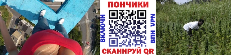 Купить закладку Гашиш  Кокаин  МЕФ  Alpha PVP  Бошки Шишки  Новоузенск