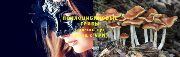 таблы Вяземский