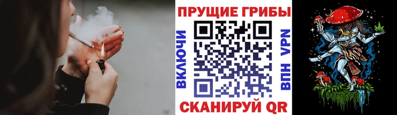 Купить  Новоузенск  Псилоцибиновые грибы MAGIC MUSHROOMS 